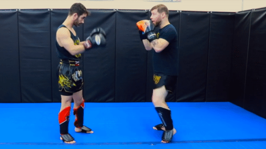 Jab-Cross-Left Roundhouse Kick Beginner Combination
