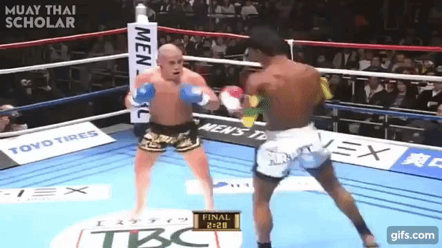 How To Roundhose Kick
