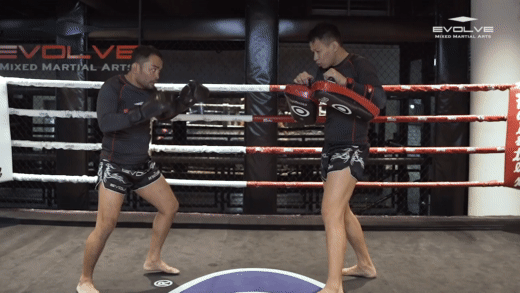 Beginner Kickboxing Roundhouse Kick