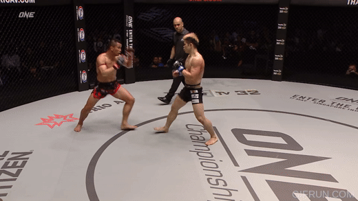 thai body kick