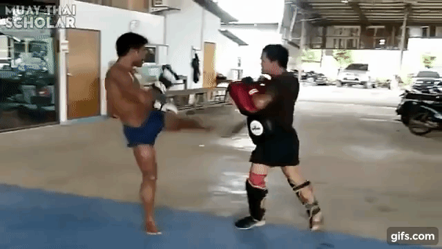 Where To Land The Roundhouse Kick To The Body
