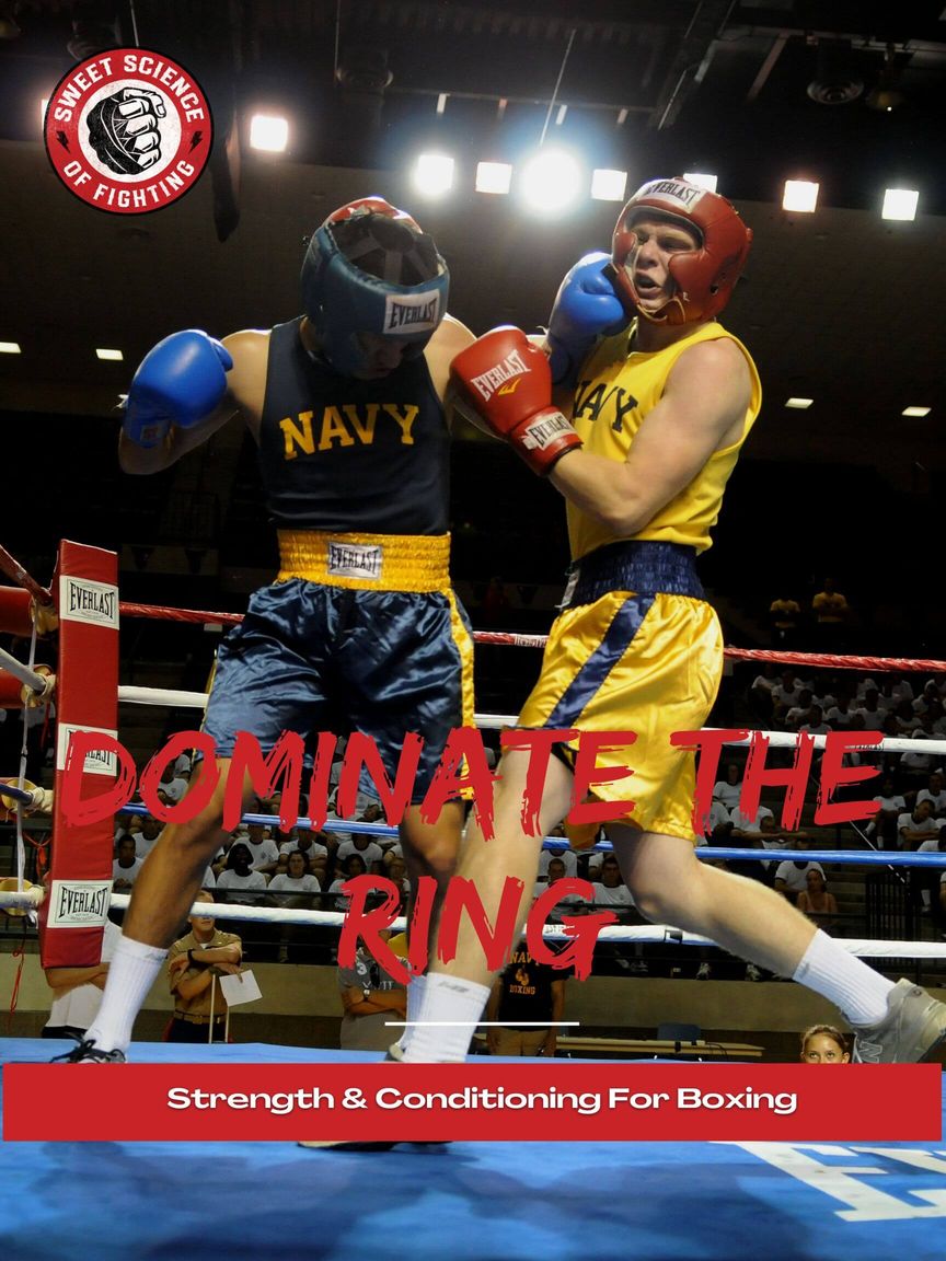 Dominate The Ring Program