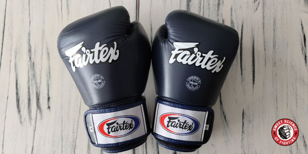 Fairtex BGV1 Muay Thai Gloves