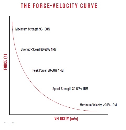 Force velocity curve for MMA