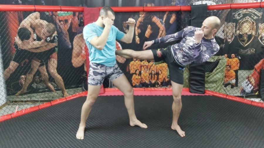 How To Throw The Lead Roundhouse Kick