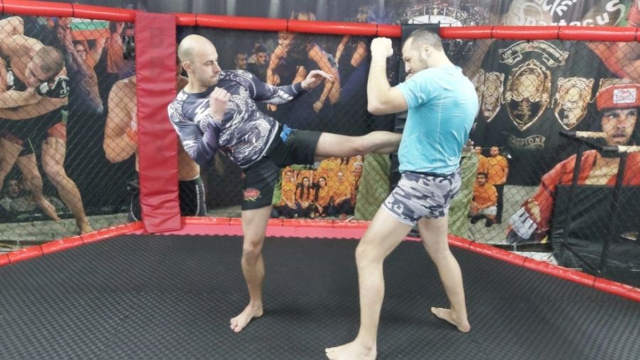 Karate vs. Kickboxing Roundhouse Kick