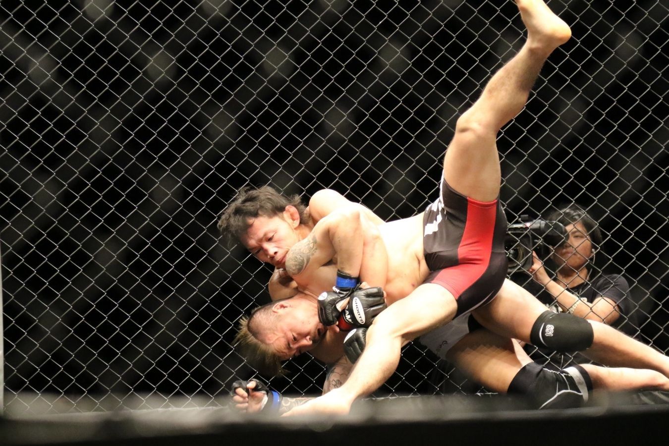 MMA Conditioning System