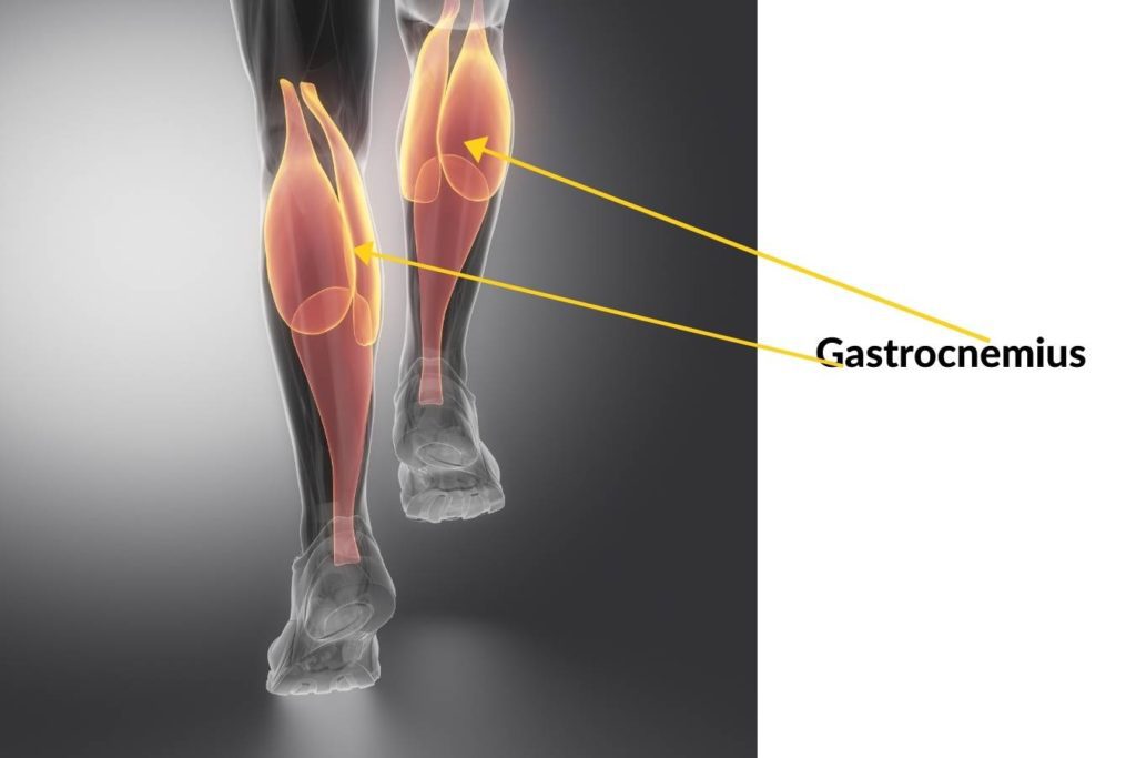 Muay Thai Calf Injury