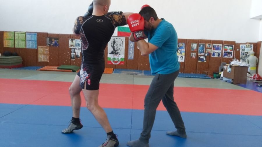 Spinning Elbow Strike