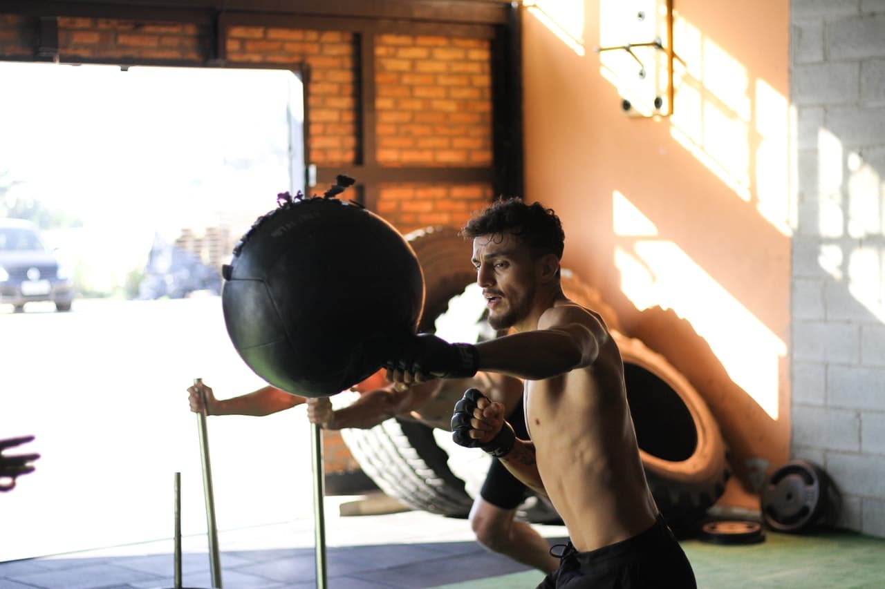 MMA Strength Standards