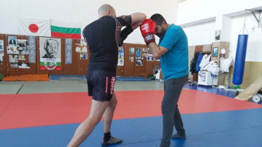 Types of Elbow Strikes
