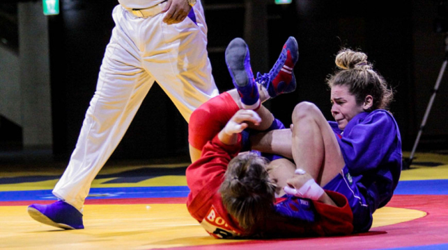 What Are The Different Kinds of Sambo