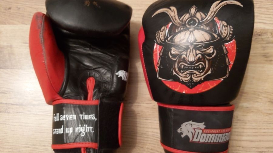 What gloves do you use for Muay Thai